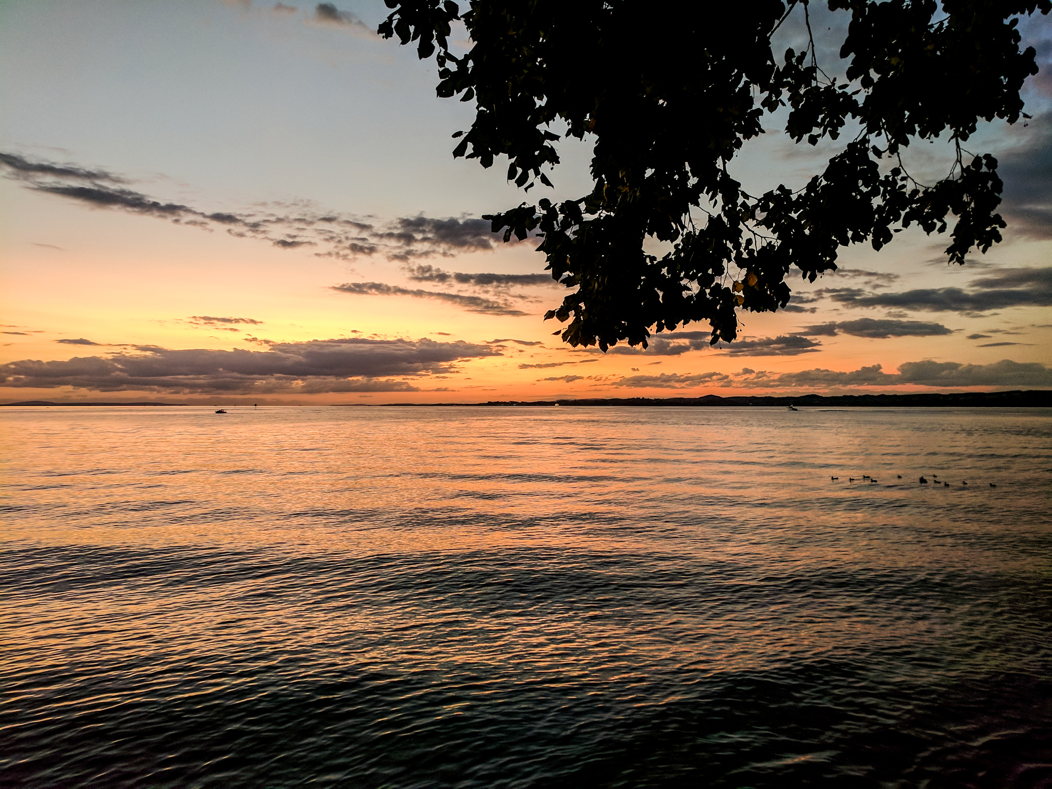 The Bodensee at Bregenz, Austria